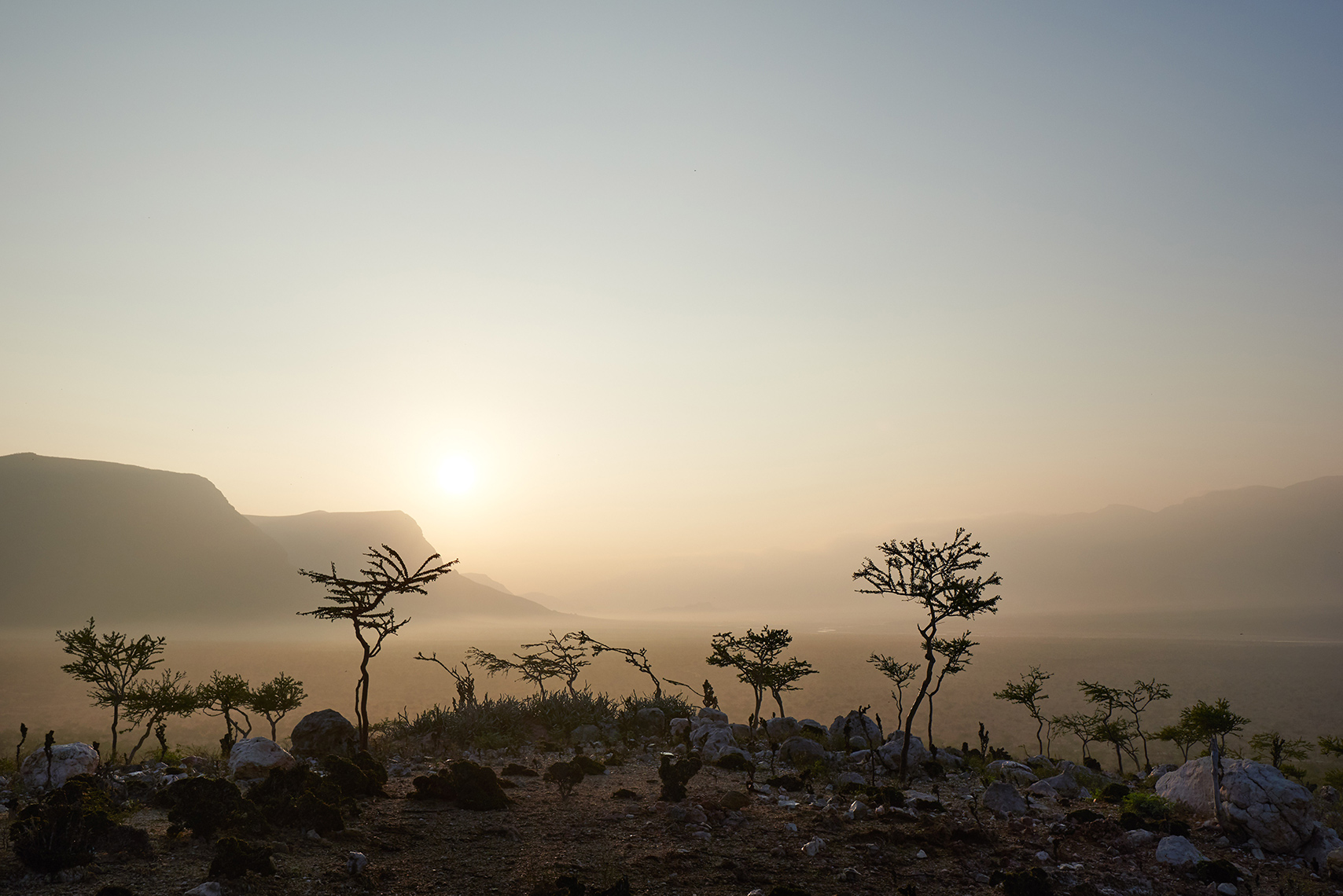 Landscapes | Socotra, Yemen
