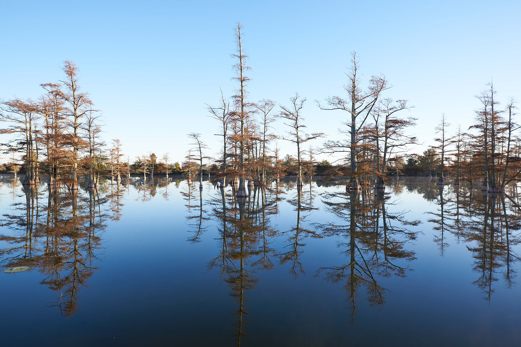 Landscapes | Mississippi Delta